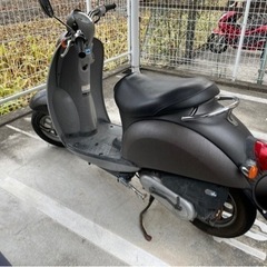原付　ホンダスクーピーの画像