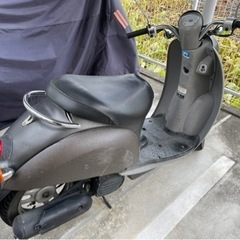 原付　ホンダスクーピーの画像