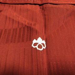 正絹　色無地　袷　訳有り品　一ツ紋　裄66弱　身丈160弱