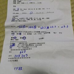 正絹　色無地　袷　訳有り品　一ツ紋　裄66弱　身丈160弱の画像