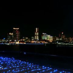 イルミネーション🎄