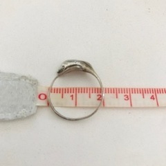 指輪　シルバー　イルカの画像
