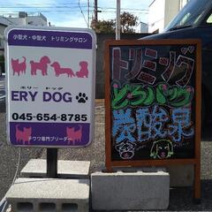 OPEN記念も兼ねて☆カットモデル犬募集中☆