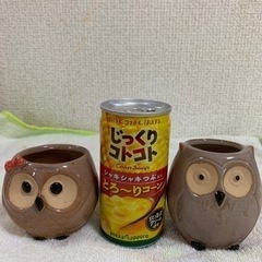 フクロウの鉢