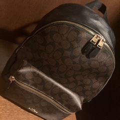 COACH正規品♥人気ブランドロゴ定番ヒット品リュックバッグ✩....