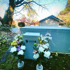 小さな永代供養樹木葬　そらの庭 - 知多郡