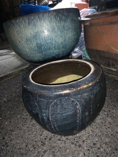 睡蓮鉢２つございます