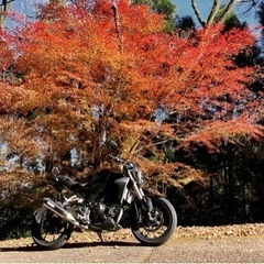 今月中限定CB250R 値下げしました！