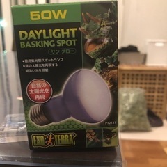 サングロー　50W ①