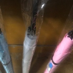 傘カサお譲りします51.3センチの画像