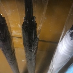 傘カサお譲りします51.3センチの画像