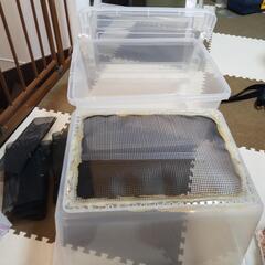 デュビア飼育ケース　二重底ケースの画像