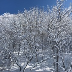 お家の雪かき＆駐車場の雪かき