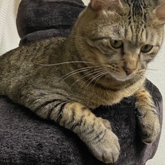 探しています - 岡山市