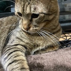 探しています