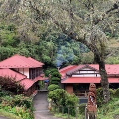 温泉仲間募集♨️