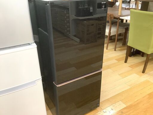 6ヶ月保証付き！SHARP 2ドア冷蔵庫　ガラストップ【トレファク岸和田】