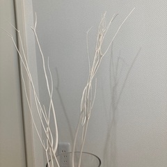 ホワイトツリー　クリスマスツリー　インテリア ウェディング  私の部屋　吉祥寺アトレの画像