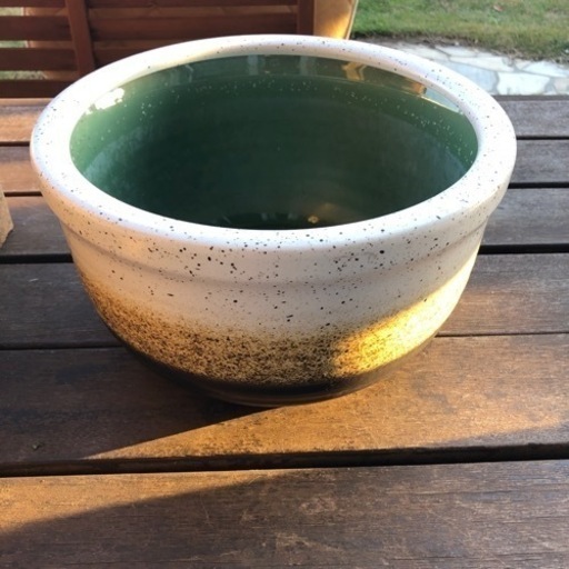 睡蓮鉢（陶器）