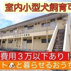 🉐初期費用３万以下！🉐小型犬🐕‍🦺飼育OK🙆‍♀️2DK