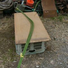 トンネル支柱　１０本の画像