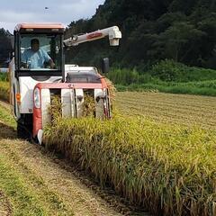 農家直売茨城県産コシヒカリ