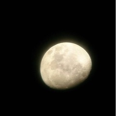 天体写真撮ったり、天文に関する友達募集 - 友達