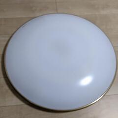 ﾜﾝｺｲﾝ！ｼｰﾘﾝｸﾞﾗｲﾄ(ﾘﾓｺﾝなし)✨