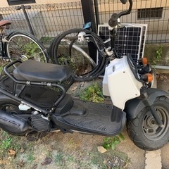 ズーマー　原付　17万円