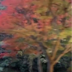 関東で勉強仲間募集中です