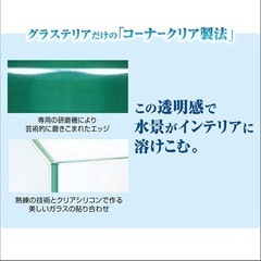 新品 GEX グラステリア900 6点セット 水槽 アクアリウム 熱帯魚  最終値下げ の画像