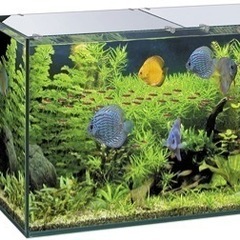 新品 GEX グラステリア900 6点セット 水槽 アクアリウム 熱帯魚  最終値下げ の画像