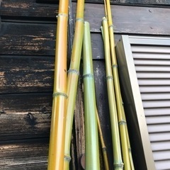 真竹　黄土色の竹　装飾やクラフト素材としての画像