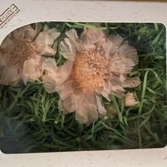 プリザーブドフラワー4種類の画像