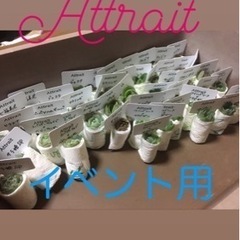 26日午後のイベント