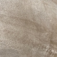 洗えるカーペット(ベージュ)の画像