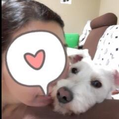 　急募です。里親探してます。