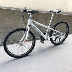 LOUIS GARNEAU、J22、サイズ270mm、中古 LOUIS GARNEAU ルイガノ LGS-J22 キッズ マウンテンバイク ホワイト