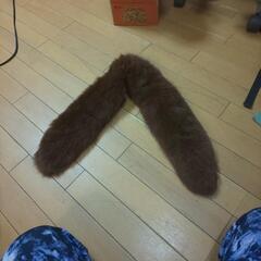 キツネの襟巻き