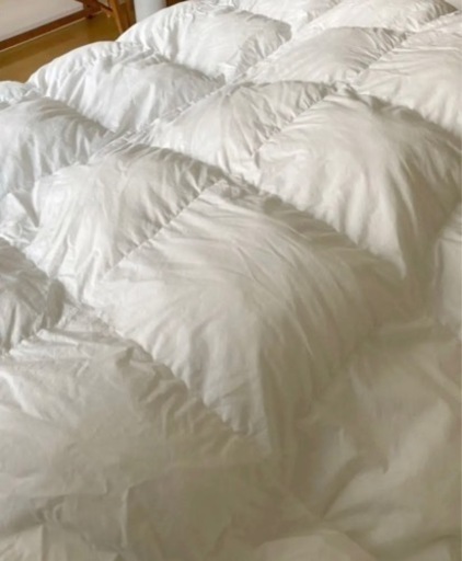 コアラ 掛け布団 クイーン 《無印のカバー付き》