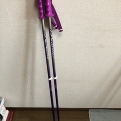お取引き完了しました　スキーストックとケース