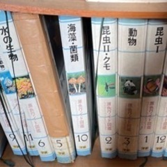 原色ワイド図鑑全集（1巻から26巻）※若干破れあり