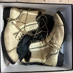 alfredoBANNISTERの画像