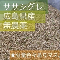 無農薬玄米【4.5kg】関東信越への送料込み