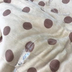 こたつ敷き毛布(破れ部分あり)の画像
