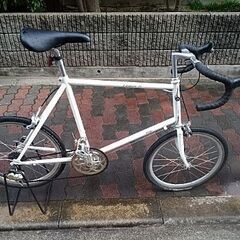 ローカルスタンダードダイブベイト240Dive bait 240