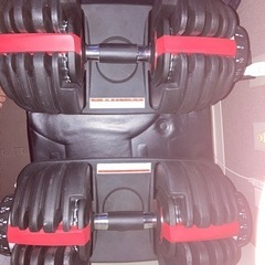 可変式ダンベル2個&ダンベルマット2個