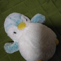 ペンギンぬいぐるみの画像