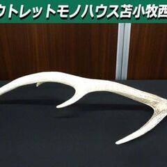 鹿の角 蝦夷鹿 長さ64.5㎝ 天然 オブジェ エゾシカ 角 苫...