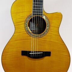 【苫小牧バナナ】美品 MORRIS SC-CUSTOM YEL L.R.BaggsAnthemSL搭載 モーリス エレアコ 2014限定生産 純正ハードケース付き♪の画像